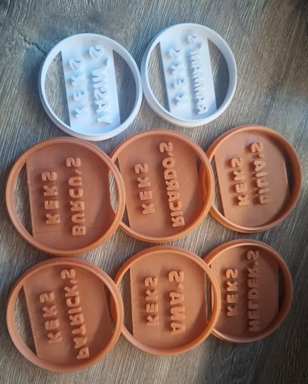 https://makerworld.bblmw.com/makerworld/model/US25c5d64e7ec442/design/2024-12-05_7e86d8f745f4a.jpeg
