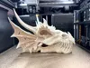 Dragon skull
