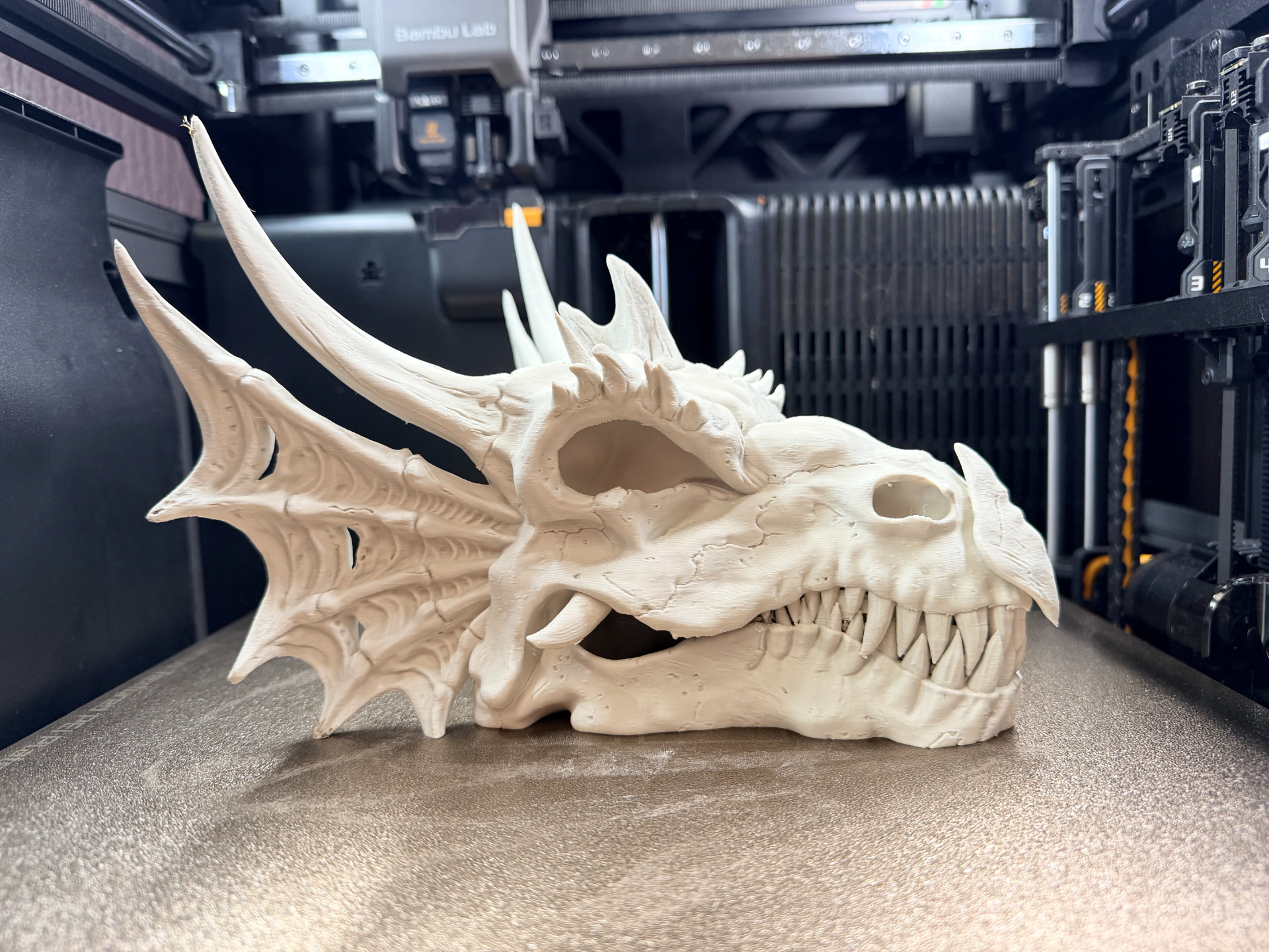 Dragon SKULL