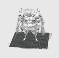 Kaido (One Piece) — photo 2
