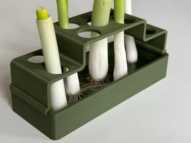 Regrow: Frühlingszwiebeln
