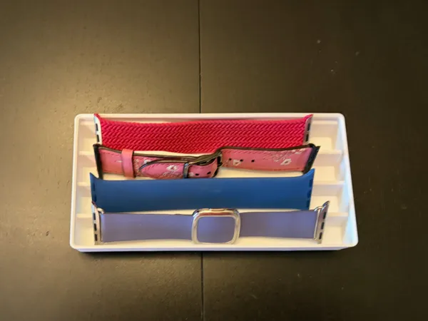https://makerworld.bblmw.com/makerworld/model/US25cdc36693353/design/2025-10-05_4a5bbc2870a488.jpeg