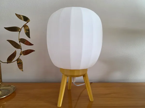 https://makerworld.bblmw.com/makerworld/model/US25ce8c0716ff80/design/2025-05-16_9d4f44a92809c8.jpg
