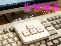 键盘墙壁开关 0.2mm 层高, 2 层墙, 15% 填充