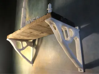 Organic Shelf Bracket (Topology Optimised)