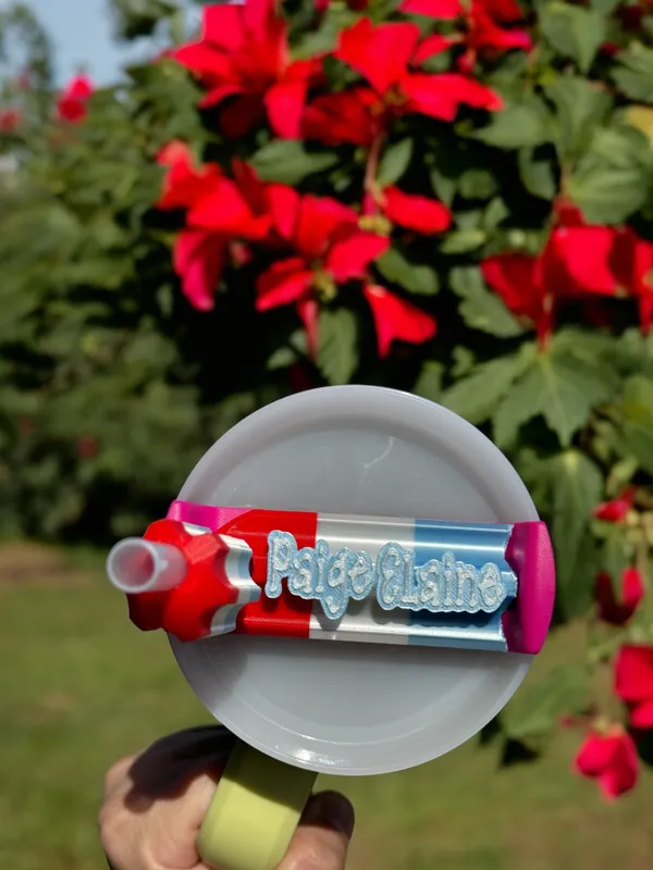https://makerworld.bblmw.com/makerworld/model/US25d90b89584e70/design/2024-06-28_gwv8umuad533.jpg