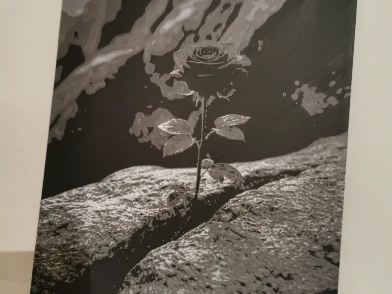 Rosen Relief