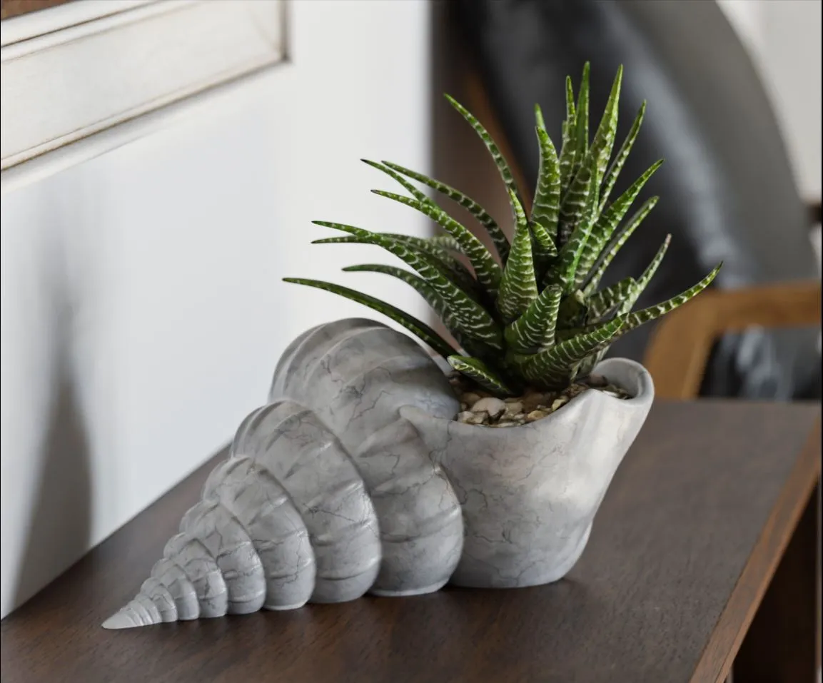 Shell Flower pot view 2
