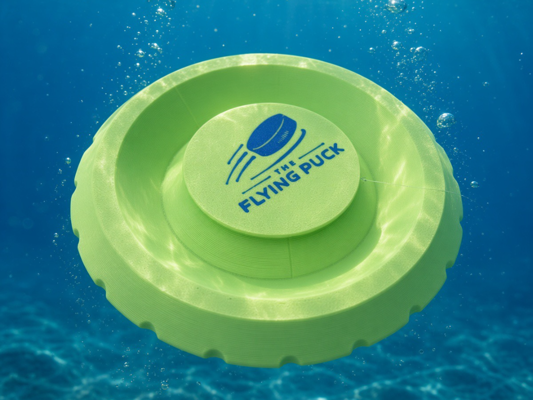 The Flying Puck - Water Edition - 1