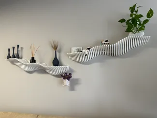 DynaShelf