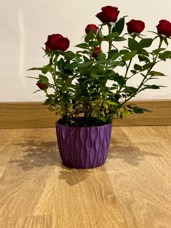 https://makerworld.bblmw.com/makerworld/model/US25e6ee7a7c0d33/design/2024-04-16_b3ea1ca48f0cf.jpg