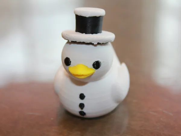 https://makerworld.bblmw.com/makerworld/model/US25e7348e5027a3/design/2024-12-24_382868f5f813e8.jpg
