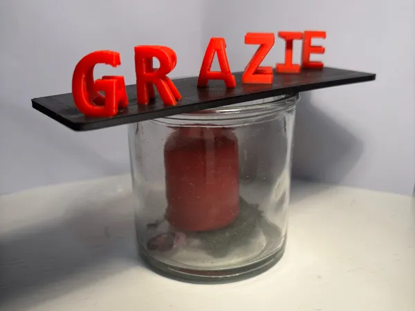 https://makerworld.bblmw.com/makerworld/model/US25e8119e359e1a/design/2024-12-09_7f9faea1aa46f.jpg