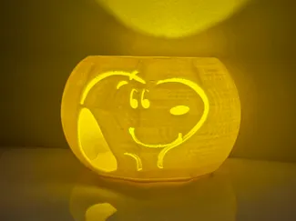 Snoopy Pumpkin