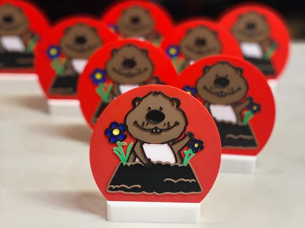 https://makerworld.bblmw.com/makerworld/model/US25eb033c38b1e/design/2026-01-01_e294393b38cfb8.jpeg
