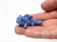 Multicolor Print Profile - dragon