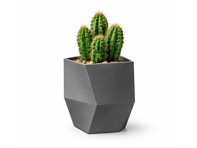 Ruben Planter