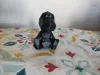 0.12mm layer, 2 walls, 15% infill