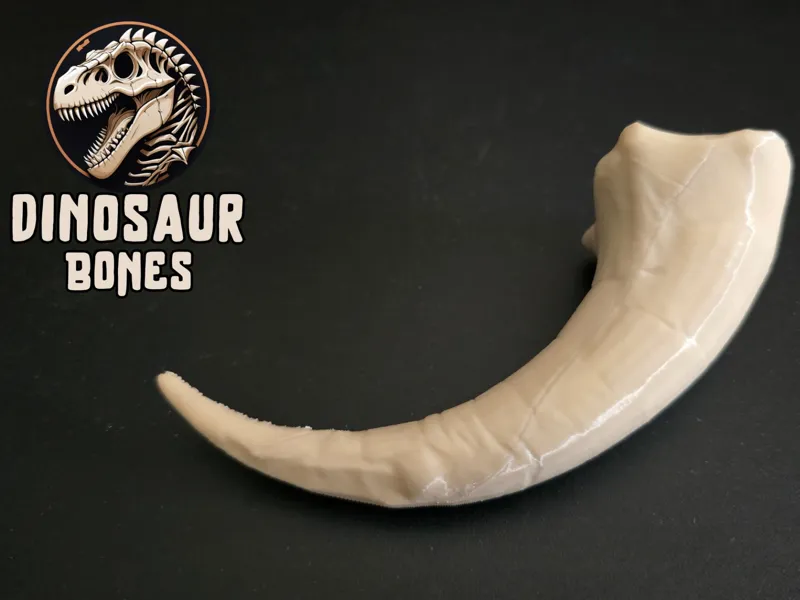 Monoceratops * Hand Claw Bone *