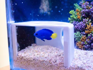 Aquarium fish cave hide