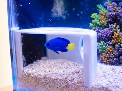 Aquarium fish cave hide
