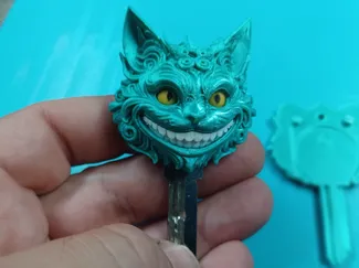 Coprichiave Stregatto