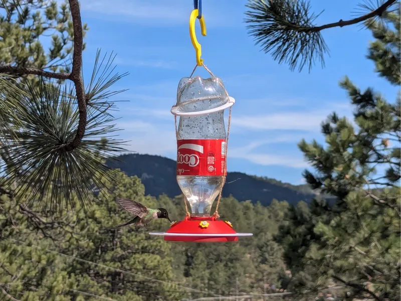 Recycled Hummingbird Feeder