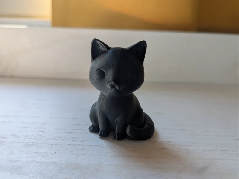 Cute Cat