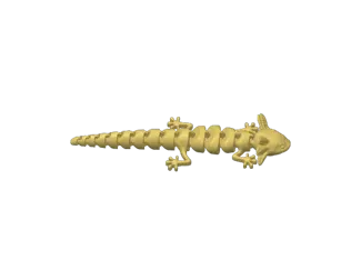 Axolotl