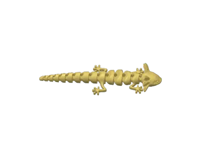 Axolotl