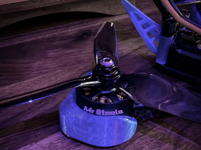 ImpulseRC Echo motor guard