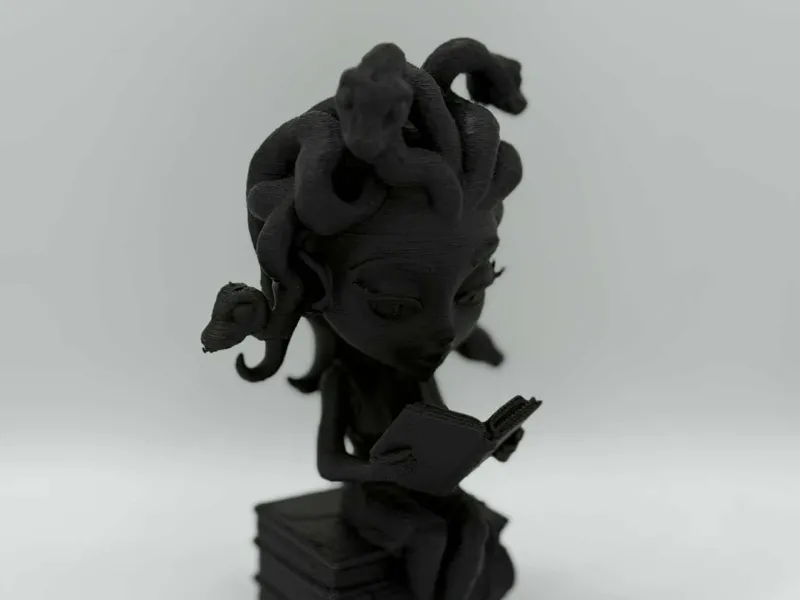 Medusa Reader