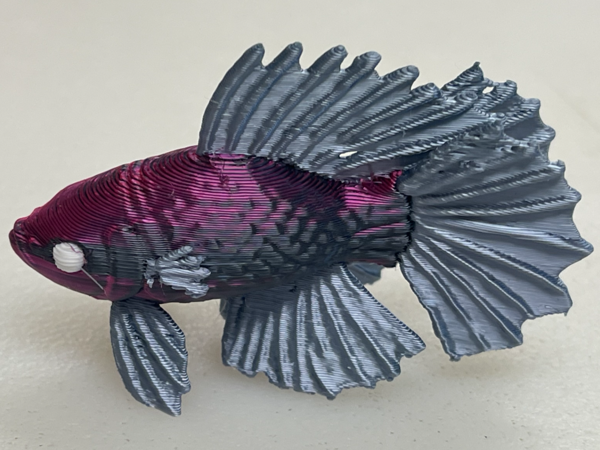 Miniatura 1 do modelo 3D Beta Fish