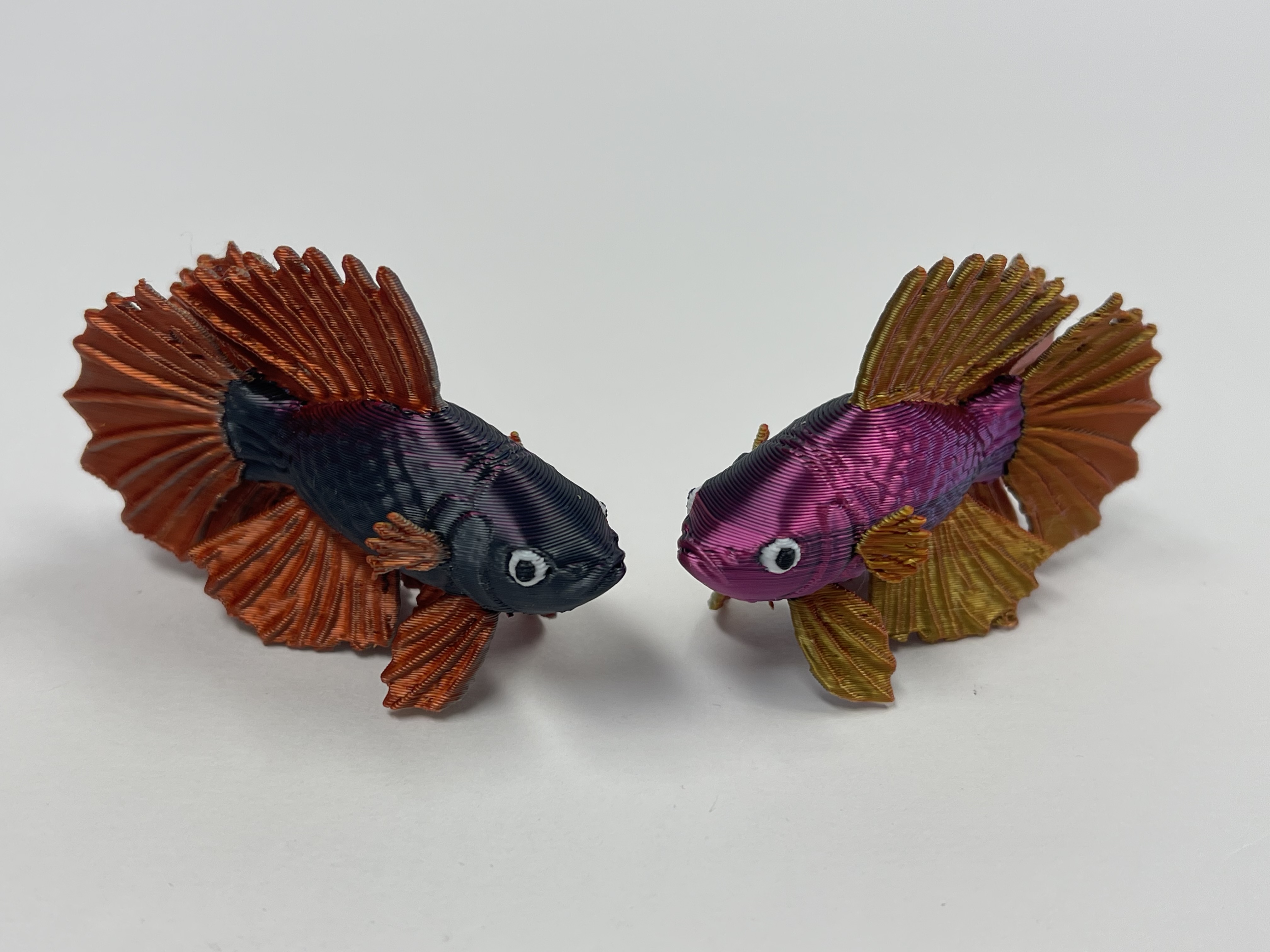 Miniatura 2 do modelo 3D Beta Fish