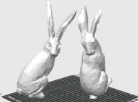 0.2mm layer, 2 walls, 0% infill