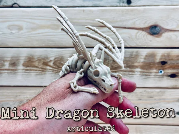 https://makerworld.bblmw.com/makerworld/model/US261766576e1aa2/design/2024-07-16_fb691780b4301.jpg