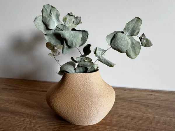 https://makerworld.bblmw.com/makerworld/model/US261d081195f82c/design/2025-10-01_dc0474569bbf68.jpeg
