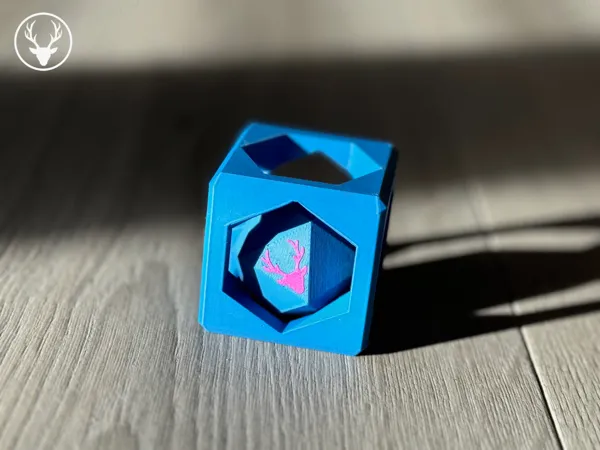 https://makerworld.bblmw.com/makerworld/model/US262413bd7867a6/design/2024-08-25_0bd2865f5d535.png