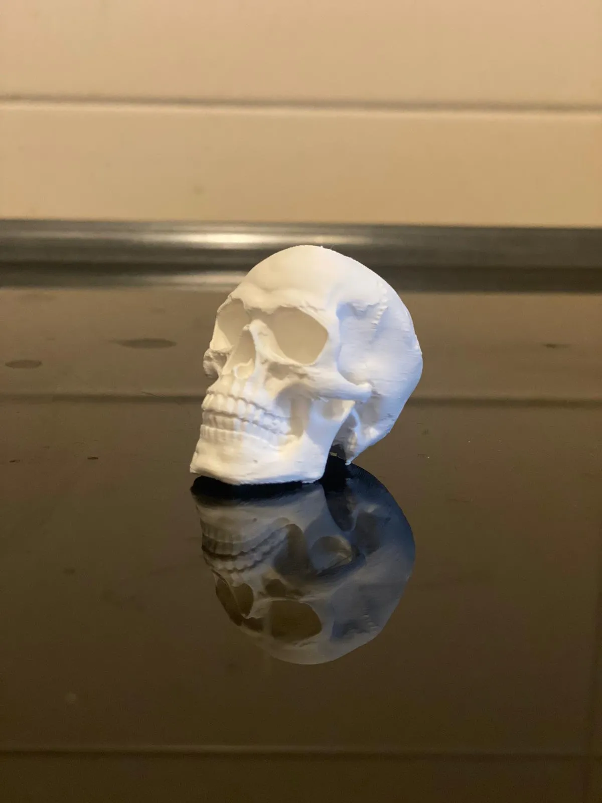 skull detaliert view 4