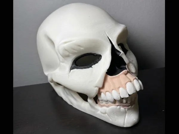 https://makerworld.bblmw.com/makerworld/model/US26286e5978178e/design/a7471232f8538490.jpeg