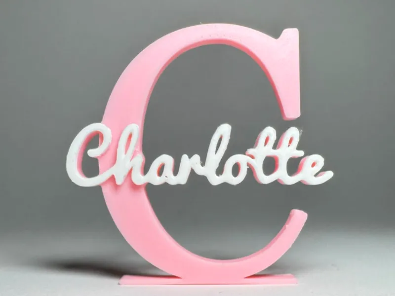 Placa de Identificação 3D - Charlotte