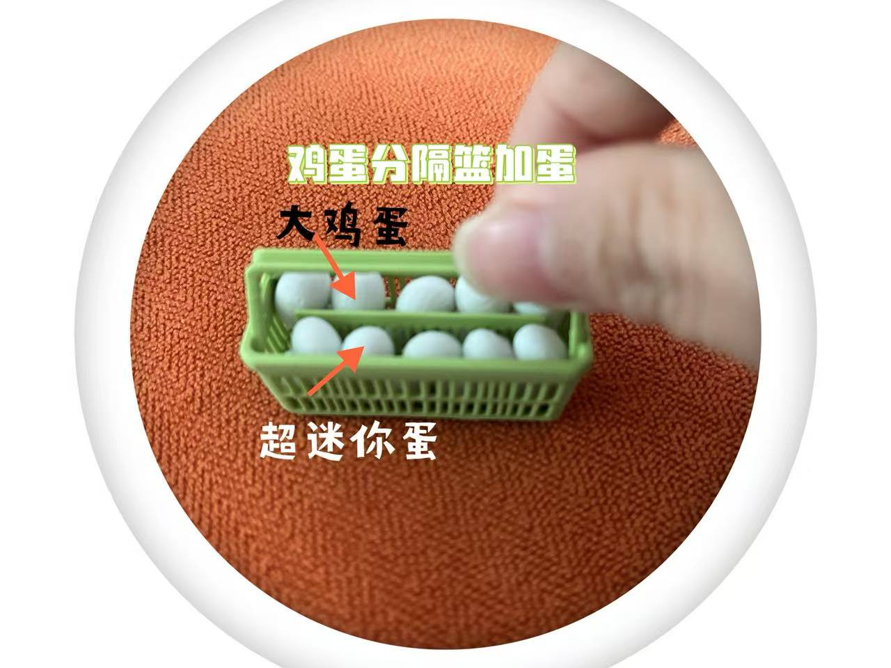迷你分隔篮带蛋