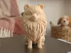 0.12mm layer, 2 walls, 10% infill