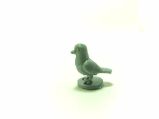pigeon