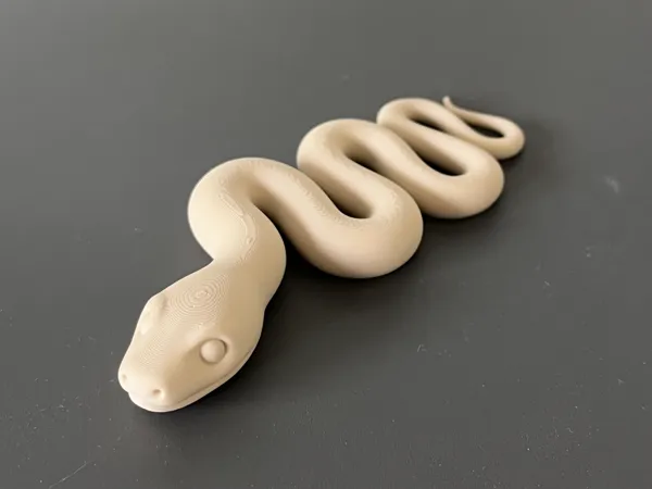 https://makerworld.bblmw.com/makerworld/model/US263b3aab375217/design/67540926e208ed1d.jpg