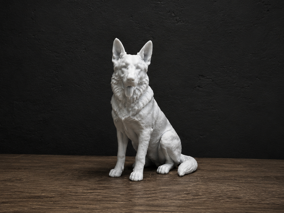 German Shepherd Dog 