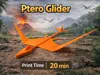 Ptero Glider 100% infill