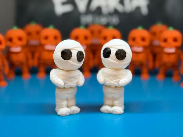 https://makerworld.bblmw.com/makerworld/model/US26462c1f324feb/design/2025-10-19_b8d105baf4254.jpg