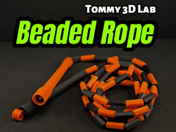 https://makerworld.bblmw.com/makerworld/model/US2646c9f5fcaa1e/design/2024-11-16_d79246579aa08.jpg