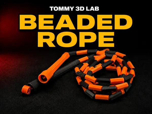 https://makerworld.bblmw.com/makerworld/model/US2646c9f5fcaa1e/design/f44ff2bd22831cb7.png